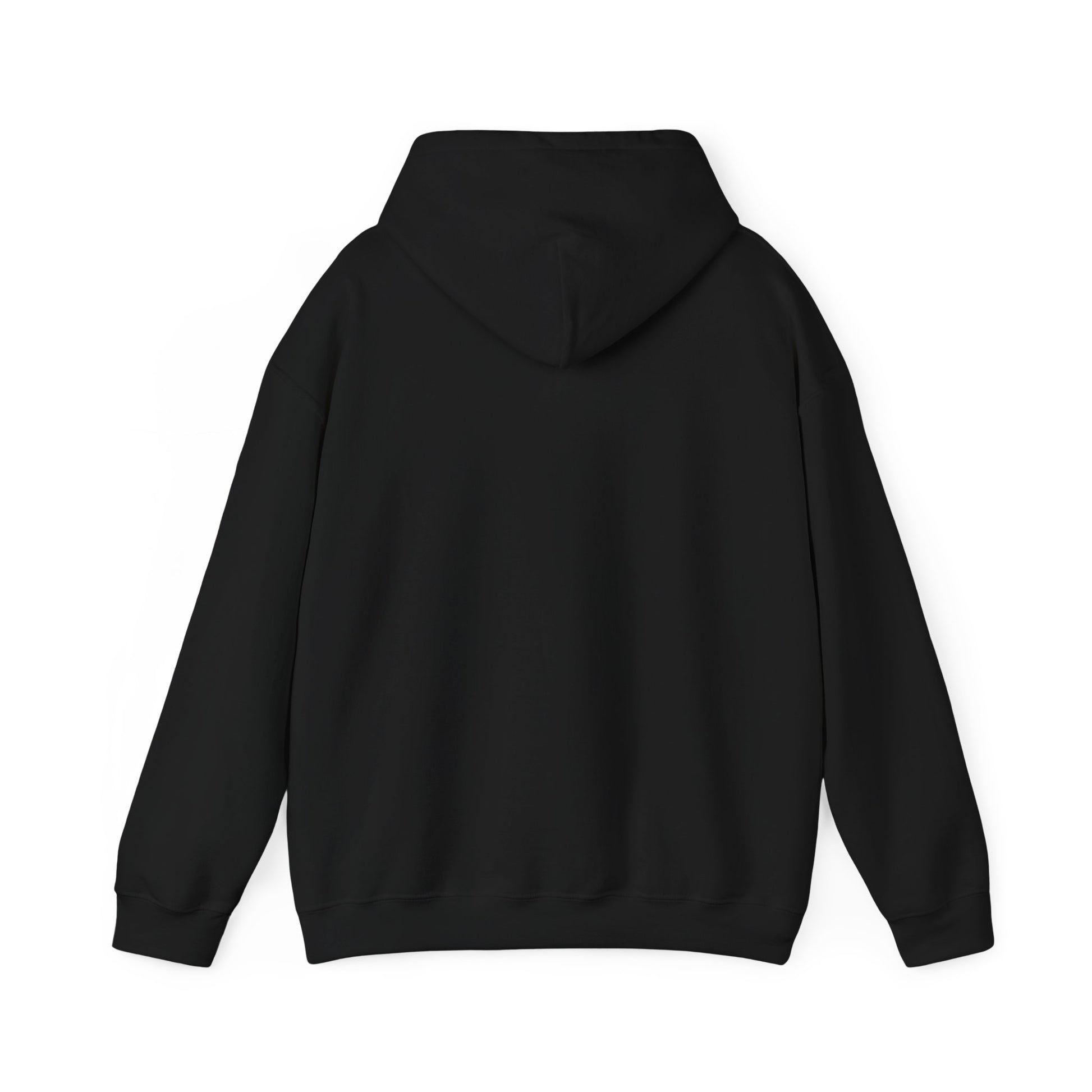 black sweatshirt viewed from the rear