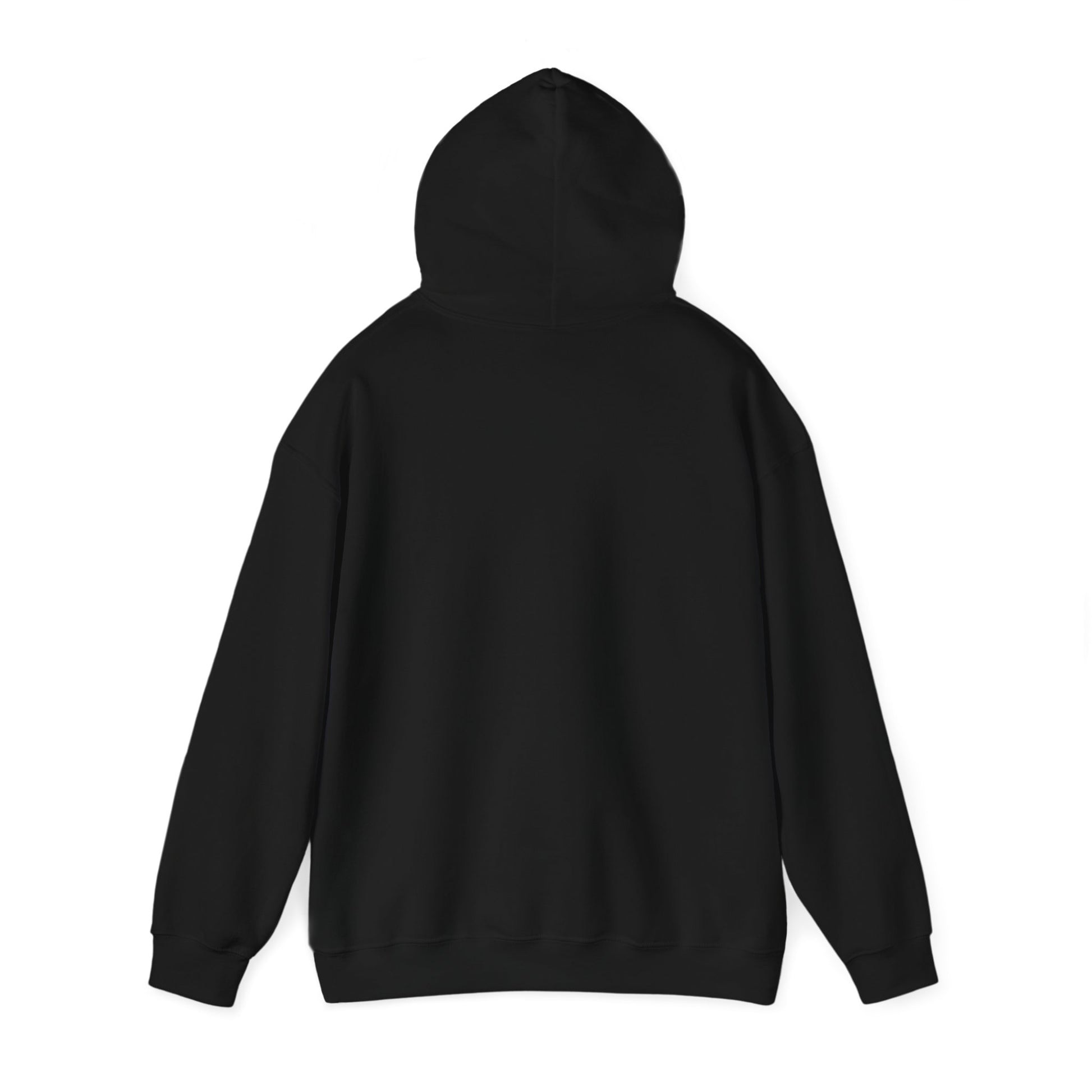 black sweatshirt viewed from the rear